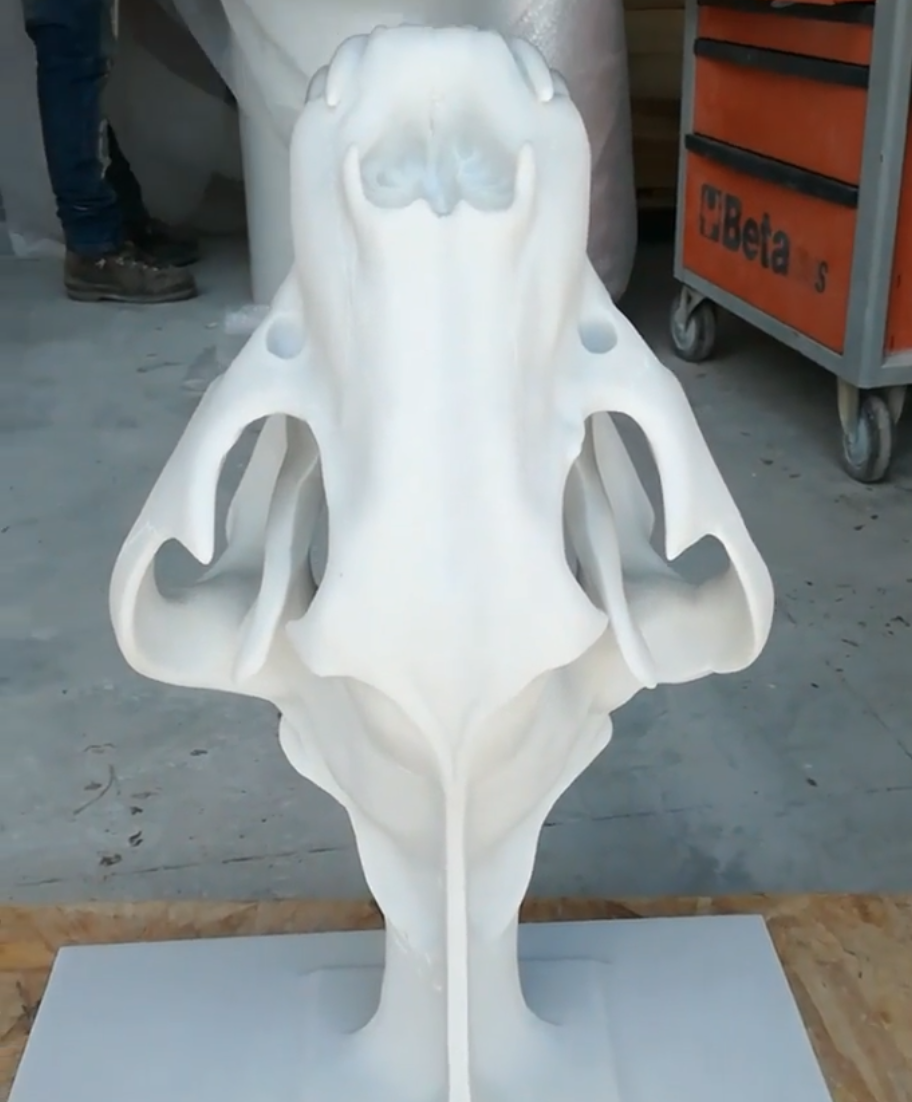 Bear Skull 01